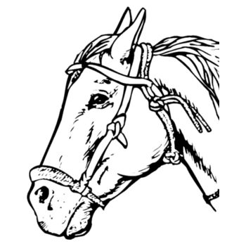 HORSE Design